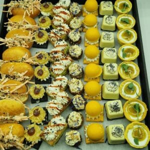 Coffret de lunchs salés végétariens x56